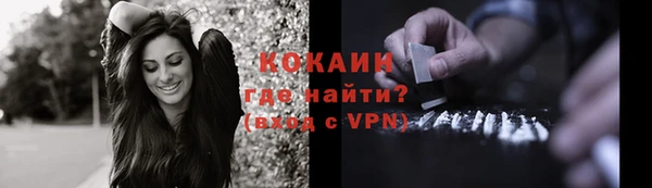 стаф Абинск