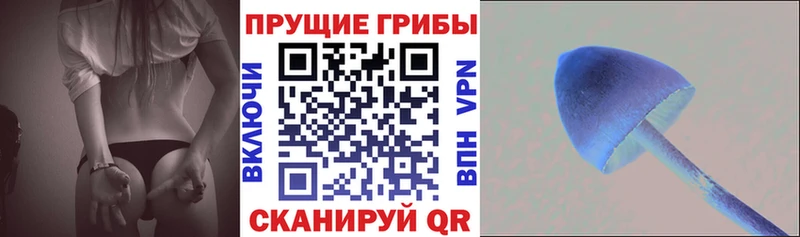 Галлюциногенные грибы мицелий  Соликамск 
